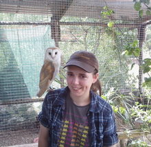Tyto24